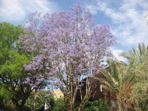Yavneʼel Israel Hotel